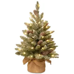 2ft. Snowy Concolor Fir Small Artificial Christmas Tree In Burlap With Snowy Cones, Warm White LED Lights