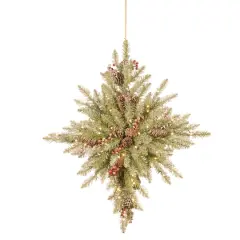 32" Snowy Dunhill&reg; Fir Bethlehem Star with Snow, Pine Cones, Red Berries & Warm White LED Lights