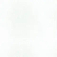 PKL Studio Swan Furocious Home D&eacute;cor Fabric