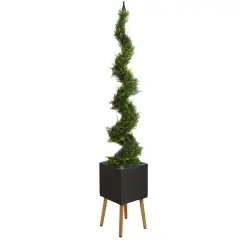 6.25ft. Cypress Spiral Tree in Black Planter with Stand
