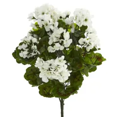 White Geranium Bush, 3ct.