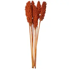 Dried Corn Maize Natural Foliage with Long Stems Orange