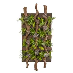 3.5ft. Mixed Succulent Wall