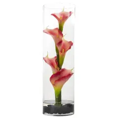 20" Calla Lily in Clear Cylinder Glass Vase Pink