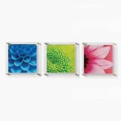 Wexel Art 3 Pack 12" x 12" Clear Single Panel Acrylic Floating Wall Frames & Magnets Gold