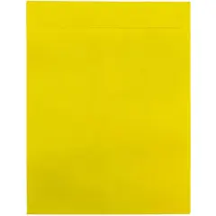 JAM Paper 10" x 13" Tyvek Tear-Proof Open End Catalog Envelopes, 25ct. Yellow