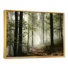 Designart - Light in Dense Fall Forest with Fog - Landscape Art Print Framed Canvas Gold