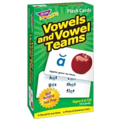Trend Enterprises&reg; Vowels and Vowel Teams Skill Drill Flash Cards