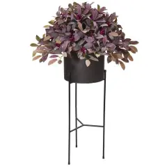 4ft. Fall Laurel Leaf with Berries Plant in Black Planter with Stand