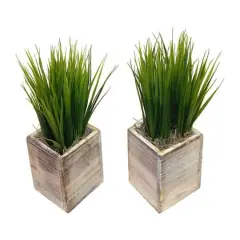 TF Publishing 10" Grass in Wooden Container, 2ct.