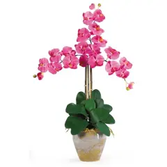 Triple Phalaenopsis Orchid Flower Arrangement In Ceramic Vase Dark Pink