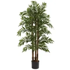 4ft. Potted Parlour Palm Tree