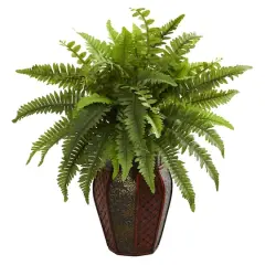 20" Boston Fern Plant in Decorative Planter