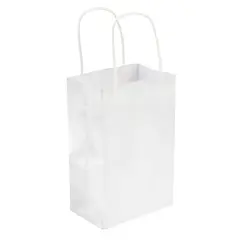 Small Silver Gift Bag Value Pack by Celebrate It&trade;