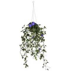 3.5ft. Purple Morning Glory Hanging Plant