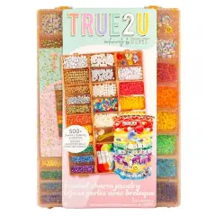 STMT&trade; True2U&trade; D.I.Y. Rainbow Bead Case