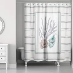 Snail and Banded Tulip Shell 71" x 74" Shower Curtain
