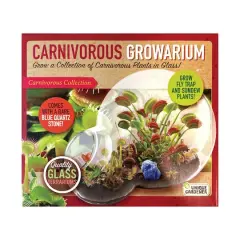 Double Sphere Glass Terrarium - Carnivorous Growarium