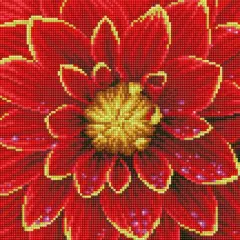 Diamond Dotz&reg; Intermediate Dahlia with Frame Diamond Painting Kit