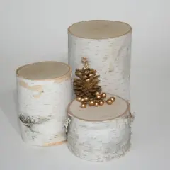 Wilson&reg; Enterprises Birch Pillar Set