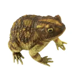 10" Green Frog by Ashland&reg;