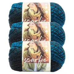 3 Pack Lion Brand&reg; Scarfie&reg; Yarn Charcoal/Aqua