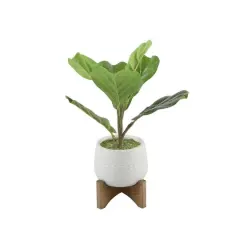 Flora Bunda&reg; 12" Fiddle In 3.5" Mayan Ceramic Pot On Stand