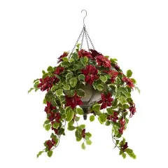 3ft. Red Poinsettia & Variegated Holly Plant in Metal Hanging Bowl