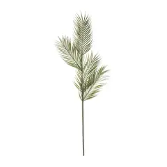 Tropical Areca Palm Stem by Ashland&reg;