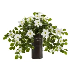 21" White Poinsettia & Variegated Holly Plant in Decorative Planter