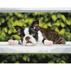 Diamond Dotz&reg; Intermediate Boston Blues Diamond Art Painting Kit