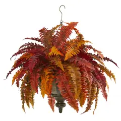 2ft. Autumn Boston Fern in Hanging Metal Bowl