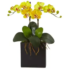 18.5" Double Mini Phalaenopsis Silk Orchid in Black Vase Yellow