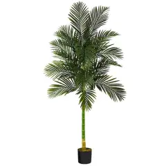 7ft. Potted Golden Cane Palm Tree