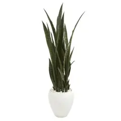 4.25ft. Sansevieria Plant in White Planter 