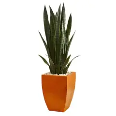 4ft. Snake Plant in Orange Planter