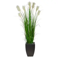 5ft. Wheat Plume Grass Plant in Black Planter