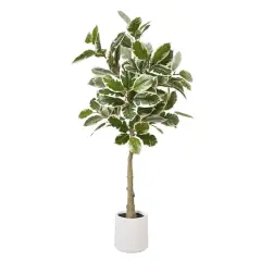 American Art Decor 5ft. Realistic Artificial Variegated Rubber Tree in White Pot