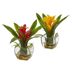 8" Bromeliad Arrangement with Glass Vase Set