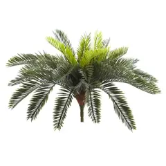 Green Cycas Pick, 2ct.
