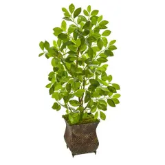 3ft. Ficus Tree in Metal Planter