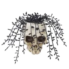 5" Potted String of Pearls in Skull by Ashland&reg;