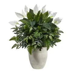 3ft. Mixed Peace Lily Plant in Decorative White Planter