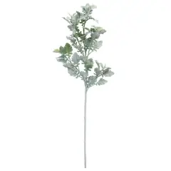 Frosted Dusty Miller Spray Stem by Ashland&reg;