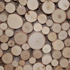 $product['description']['title']}