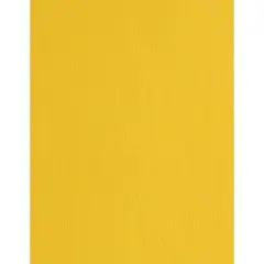 PA Paper&trade; Accents 8.5" x 11" 73lb. Muslin Cardstock Paper, 1,000 Sheets Daffodil