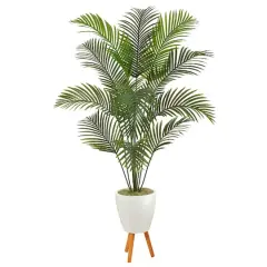 6.5ft. Golden Cane Palm Tree in White Planter with Stand