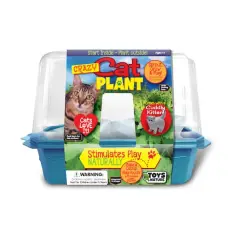 Miniature World - Crazy Cat Plant