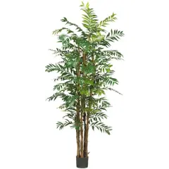 7ft. Potted Bamboo Palm Tree