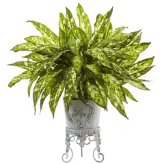 24" Aglaonema with White Metal Planter